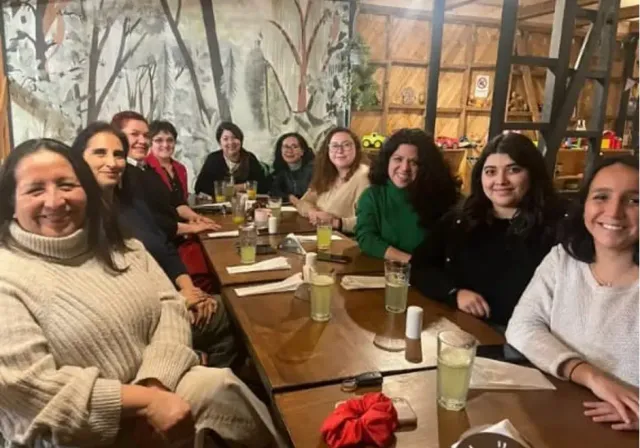 Representación de ProMujer Chile en espacio de participación ciudadana del COSOC de SernamEG en la Región de Los Ríos